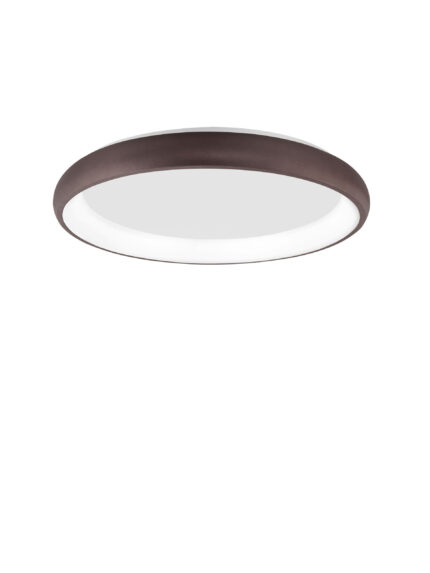 Nova Luce plafonjera ALBI 8105612 - Слика 1