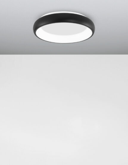 Nova Luce plafonjera ALBI 8105616 - Слика 4