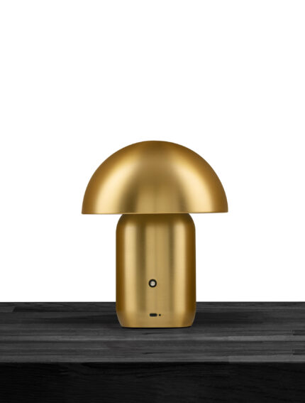 Nova Luce stona lampa POIS 9050170 - Слика 3