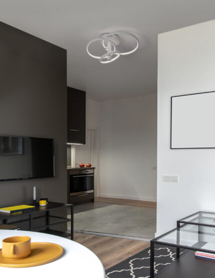 Nova Luce plafonjera EMIL 9349062 - Slika 2
