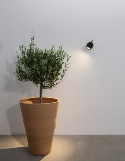 Nova Luce zidna lampa FEND 9971452 - Слика 2
